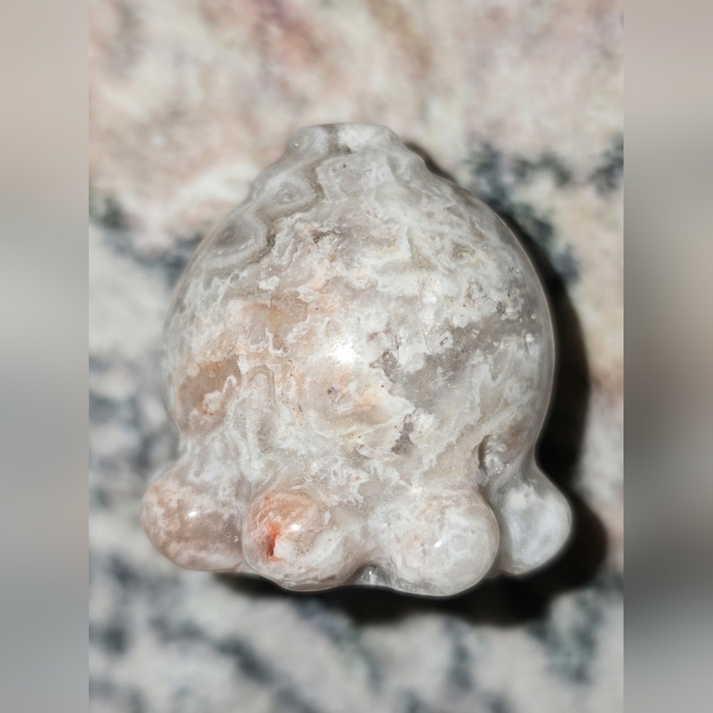 Agate Octopus π - Picture 2 of 3